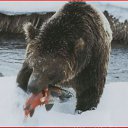 ���� ������, �������, 45 ��� - ��������� 6 ������� 2016 � ������ ���������!�