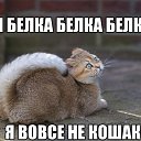  ,  -  10  2016    