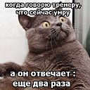 ���� K���������, ����������, 42 ���� - ��������� 15 ������� 2015 � ������ ���� ����������