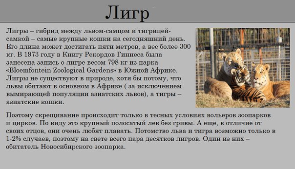 5 �������� ��������� ���� - 6