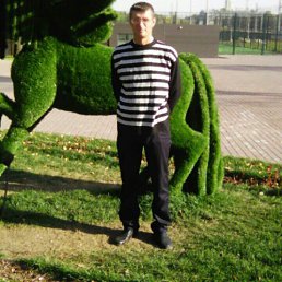 �����, ������, 52 ����