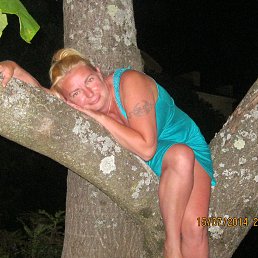 ����, �����-���������