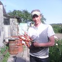 ���� ����, ��������, 38 ��� - ��������� 11 ������� 2016 � ������ ���� ����������