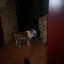 ������ ������ ��������� ����� ���������� �� ������� ���� �������