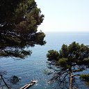 ���� ������, ����������� - ��������� 27 �������� 2015 � ������ ���� ����������