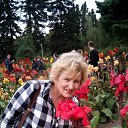 ���� �������, ��������� - ��������� 17 ������� 2016