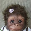 ������� ������))) �� ������� ���� ����������