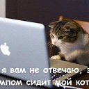 ���� ������, ����-��� - ��������� 4 ������� 2016 � ������ ������ ��������