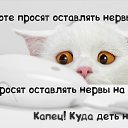 ���� �����..., �����, 51 ��� - ��������� 14 ������ 2016 � ������ ������ ��������