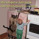 ���� �����, ������������, 75 ��� - ��������� 20 ������ 2016 � ������ ������ ��������