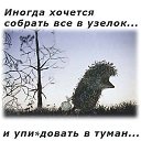 ���� �����, ��������� - ��������� 21 ������ 2015 � ������ ���� ����������
