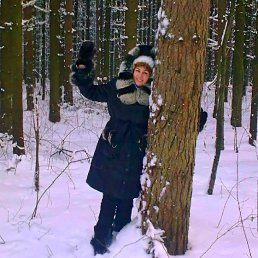 ���������.�����-��� ������., ������