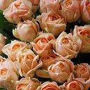 ���� �������, �����, 64 ���� - ��������� 22 ������� 2016 � ������ ������ ��������