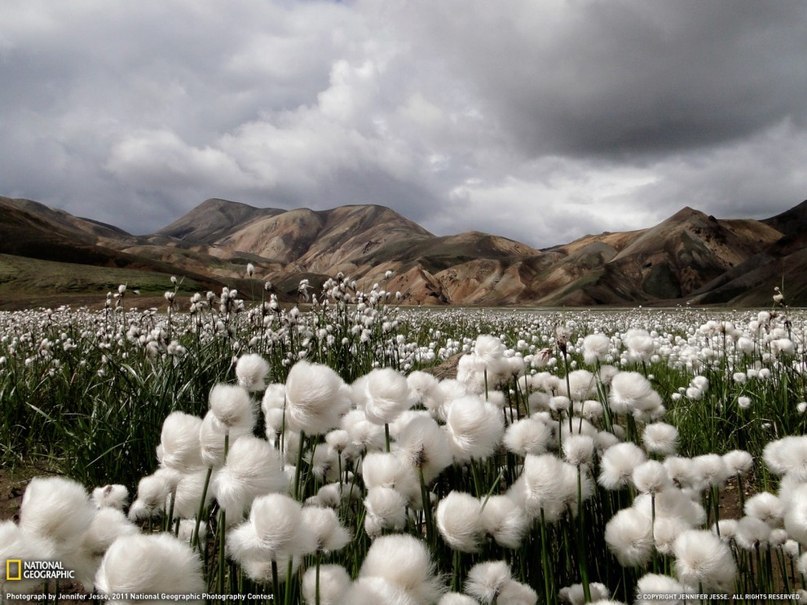   National Geographic   2011  - 10