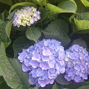 ���� �������, ������, 51 ��� - ��������� 9 ������� 2015 � ������ ���� ������