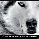 ���� ����, ������������, 52 ���� - ��������� 26 ������� 2015 � ������ �������