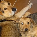 ���� �����, ���������, 59 ��� - ��������� 18 ������ 2015 � ������ ���