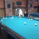 ���� ����, �������, 29 ��� - ��������� 5 ������ 2016 � ������ �������