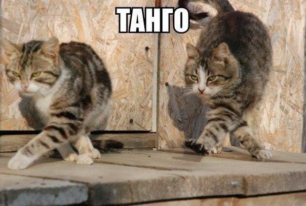   - 22  2015  08:02 - 6