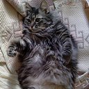 � �������.... �� ������� ���� ����������