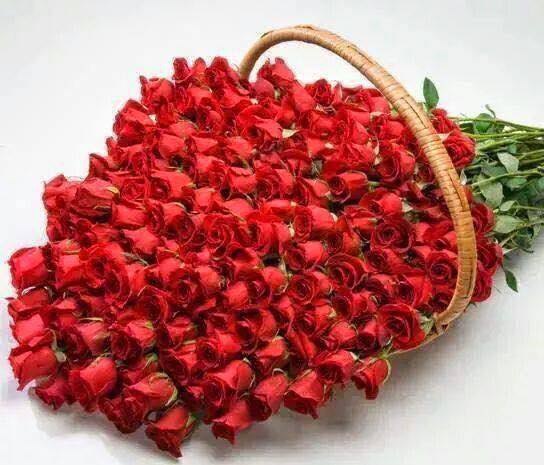   .          , ... - 2