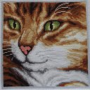 ���� �������, �����, 60 ��� - ��������� 11 ������ 2016 � ������ ���� ���������