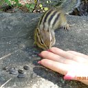 ���� �����, �����������, 59 ��� - ��������� 19 ������� 2015