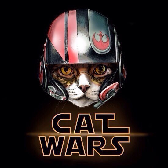 Cat wars - 3