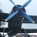 ���� ����, �������, 59 ��� - ��������� 19 ������� 2015 � ������ ���� ����������