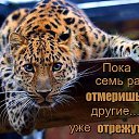 ���� �����, ������, 56 ��� - ��������� 14 ������� 2015 � ������ ������ ��������