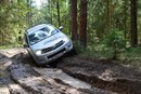 ���� ����, ��������, 45 ��� - ��������� 14 ������� 2015 � ������ ���� ����������