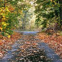 ���� �������, �������, 38 ��� - ��������� 30 �������� 2015 � ������ �����