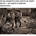 ���� ���������, ������, 48 ��� - ��������� 26 �������� 2015 � ������ ���� ����������
