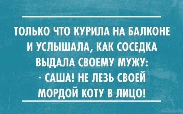 ��� ���� � ����� �� �� - 26 �������� 2015 � 08:01
