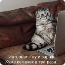  ******, , 53  -  21  2015    