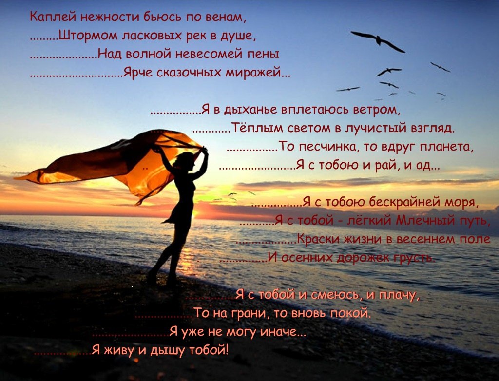  - 13  2015  06:49
