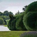 ���� �����, ���� - ��������� 8 ������� 2015 � ������ �VIDE�