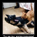 ���� ���������, ������������, 40 ��� - ��������� 15 ������� 2016 � ������ ������ ��������