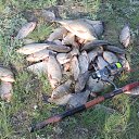 ���� ������, �������, 73 ���� - ��������� 27 ������� 2015 � ������ ���� ����������