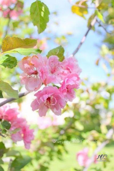 �����... - 4