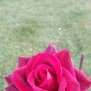 ���� ���������, ������ - ��������� 5 ������ 2015 � ������ ���������� ������