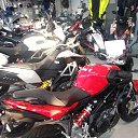 ����� ����� ����, ����� ������) �� ������� �2016�
