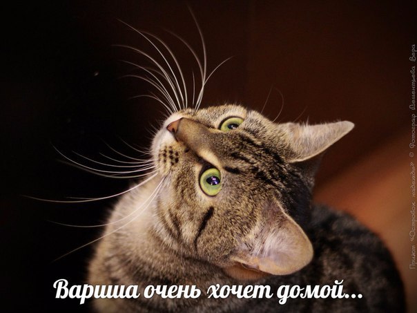 .  " "         ? ...