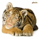 ���� �����, �����������-��-�����, 54 ���� - ��������� 22 ������� 2015 � ������ ���� ����������