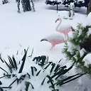 ���� �����, ��������, 51 ��� - ��������� 30 ������ 2016 � ������ �����