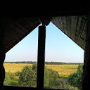 ���� �������, ������, 61 ��� - ��������� 25 ������� 2015 � ������ ���� ����������