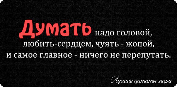 Не дружи с головой пусть победит. Дружить с головой. Дружба с головой афоризмы. Думай головой. Думающая голова.