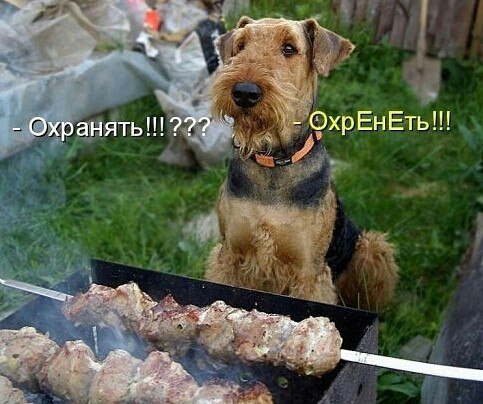 Русский, кавказец и еврей решили отметить какое-то событие. Русский говорит: - Я водки принесу. ...