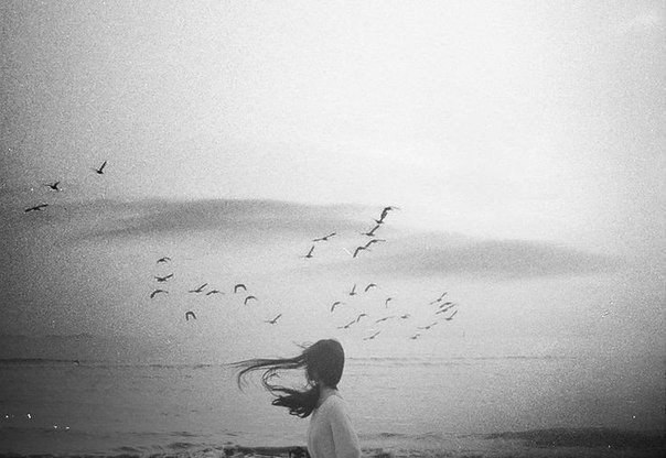 ������ ����, ����� ������� ����� � ����, ������� �� ����� �����, ������� ��������� ��� �������. �. ...