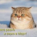 ���� ����/������, ������ �����, 72 ���� - ��������� 6 ����� 2016 � ������ ���� ����������